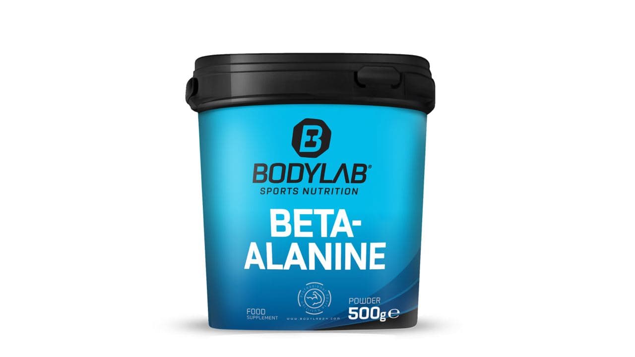 4. BODYLAB