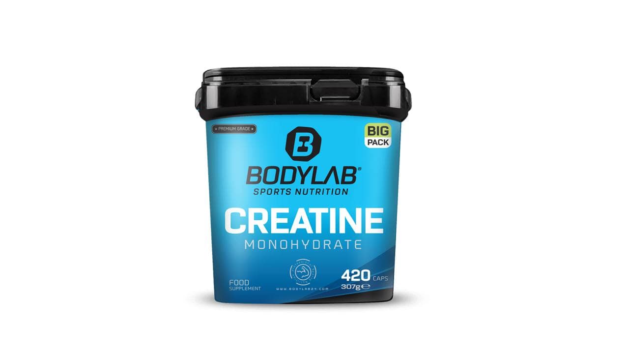 5. BODYLAB