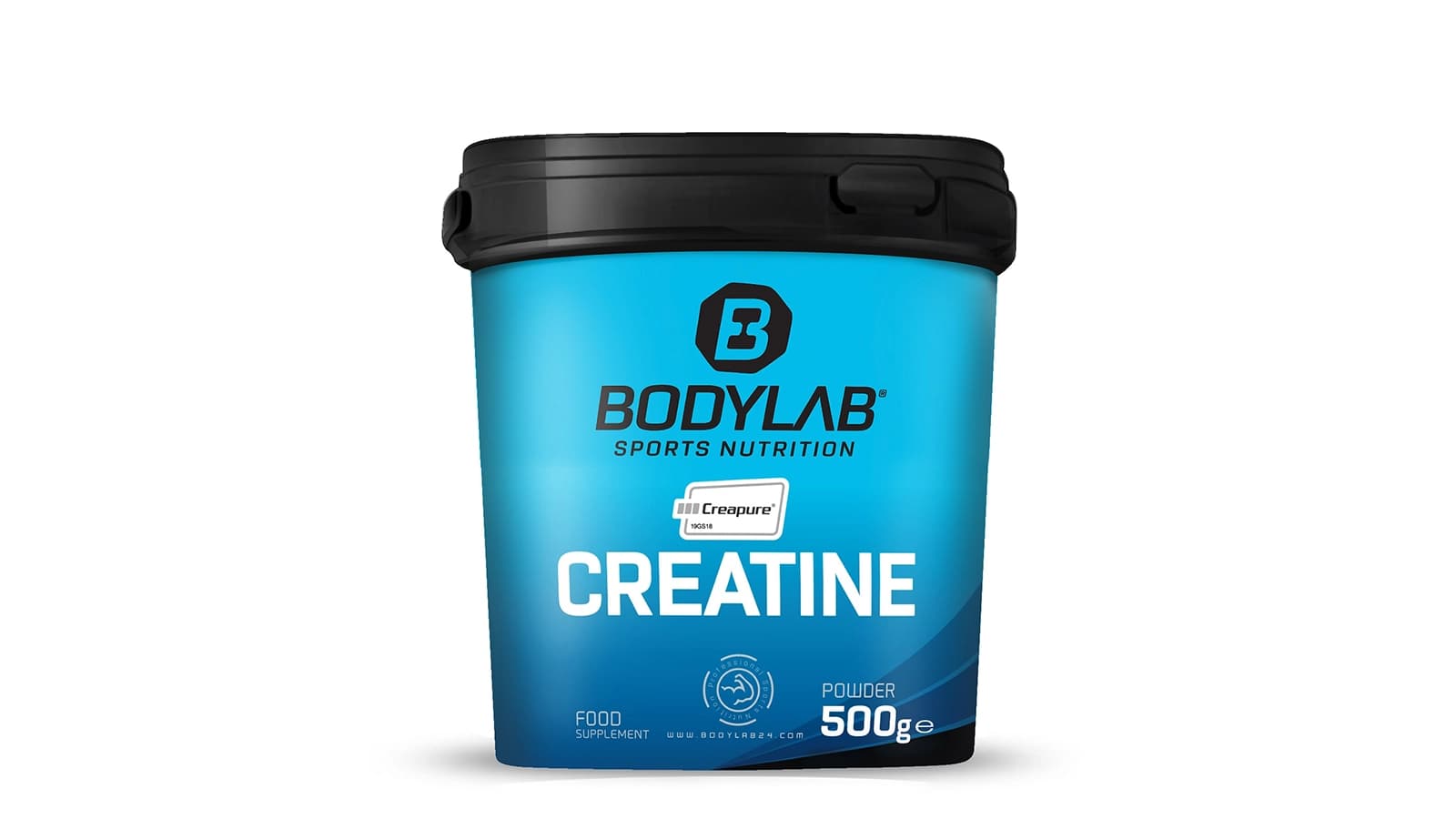 6. BODYLAB